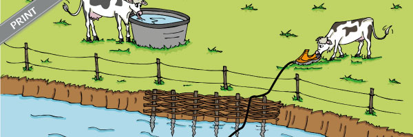 Scénette cours d'eau